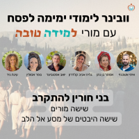 תמונה לקורס
